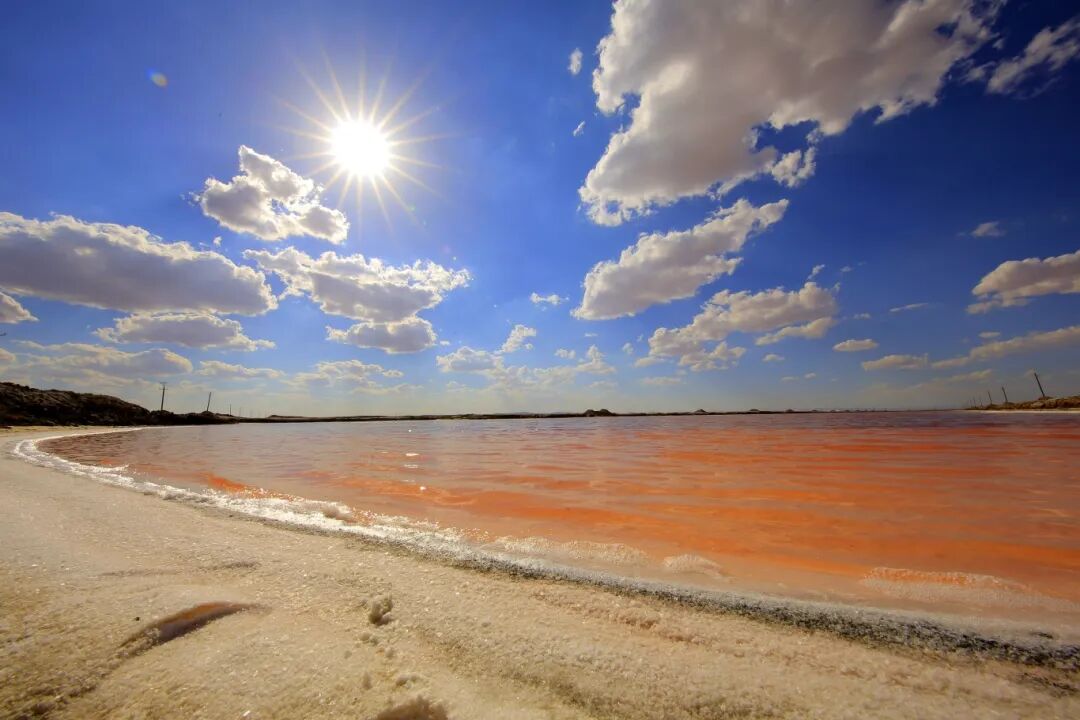 1761802795651816.jpg 640 (1).jpg