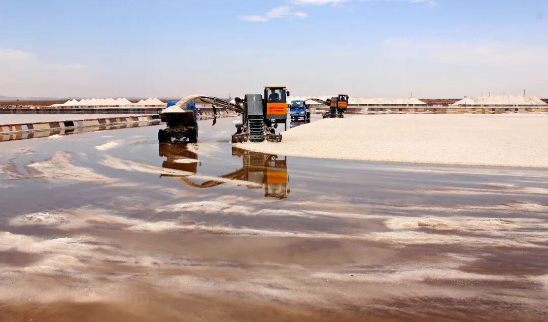 1761888923182894.jpg 640.jpg