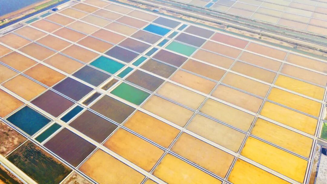 1762235162960910.jpg 640 (3).jpg