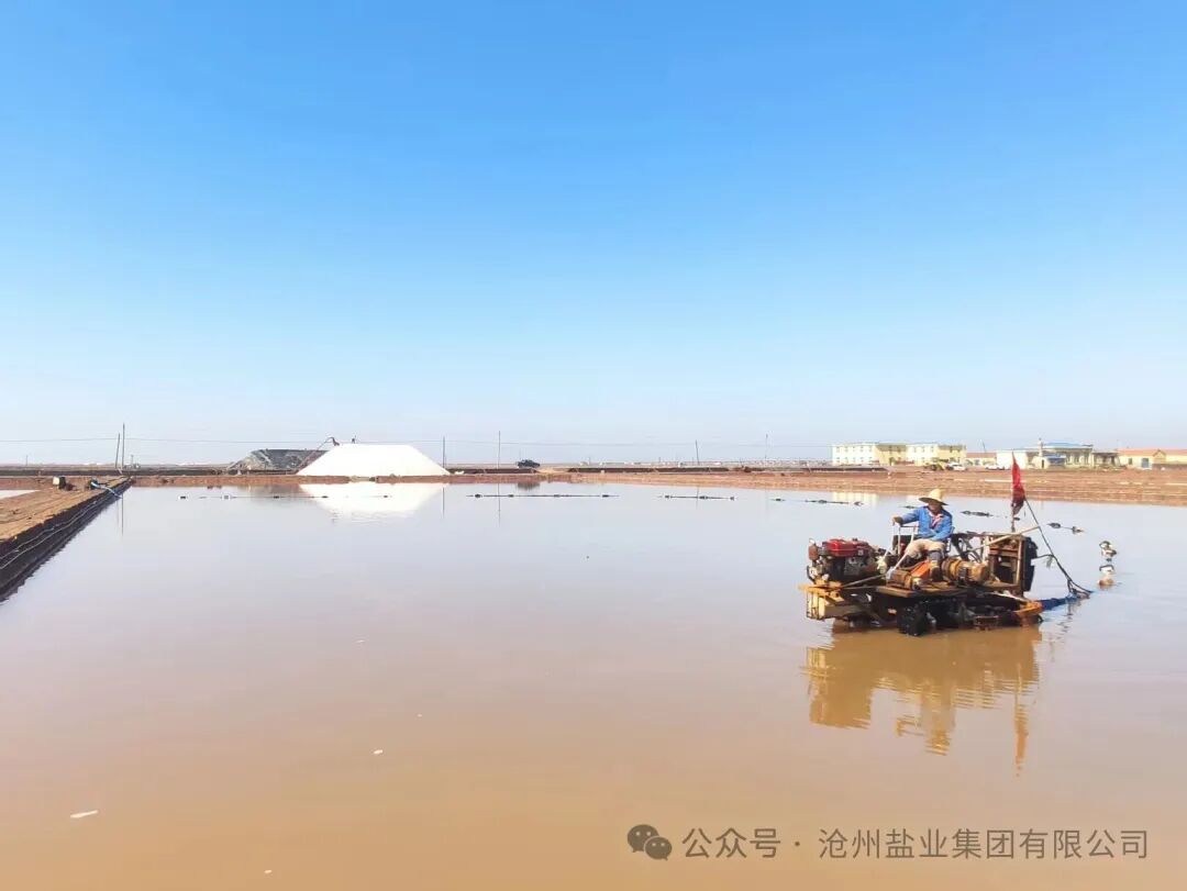 1762321545617158.jpg 640.jpg