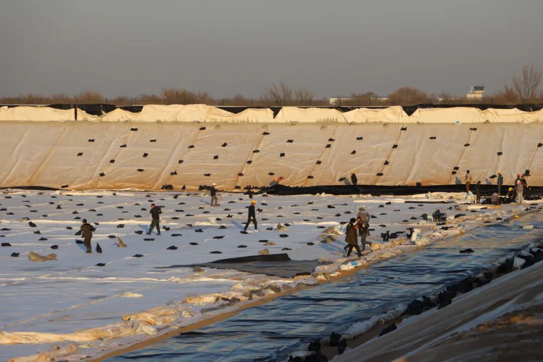 1763704603298391.jpg 640 (4).jpg