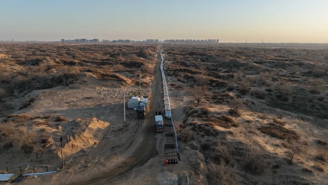 1763704623582567.jpg 640 (5).jpg