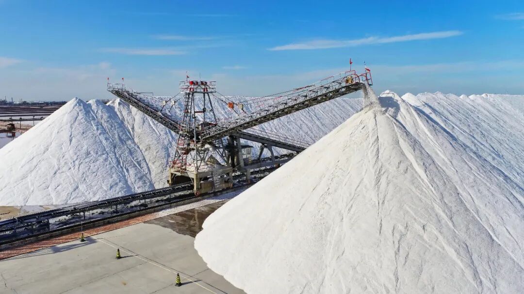 1764741738315004.jpg 640.jpg