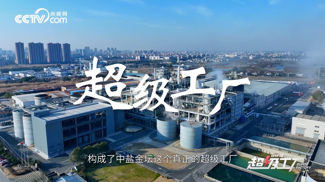 1765173389776671.jpg a0759897-8414-419f-838f-a3173b605ede.jpg