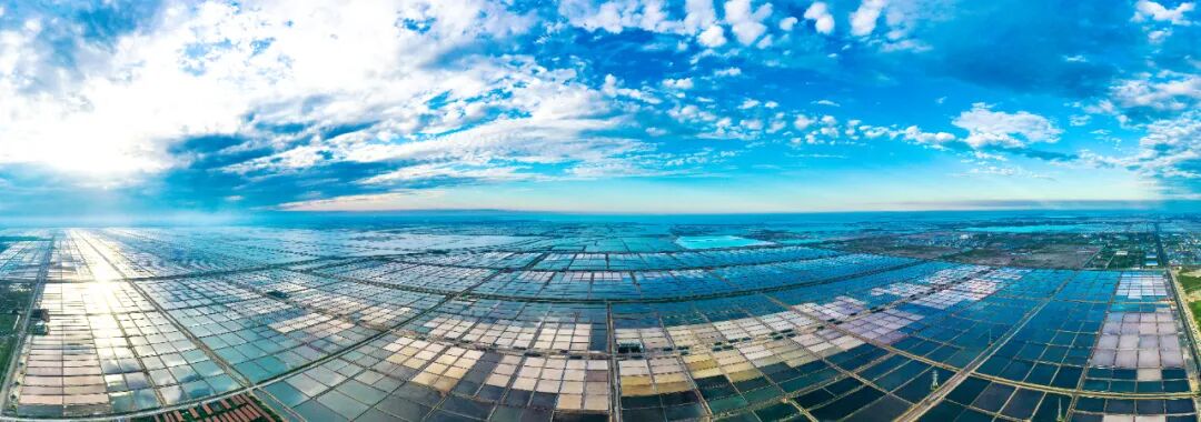 1775198412716737.jpg 640.jpg